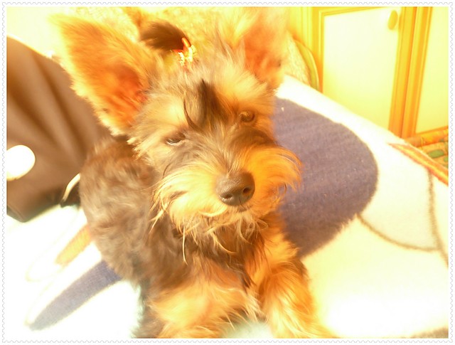 Wpis tinka000