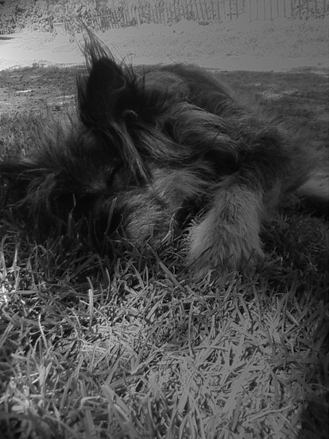 ...pioch :P
