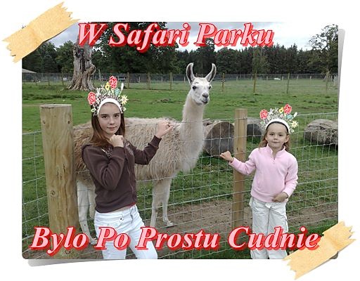 Wpis suzi1996