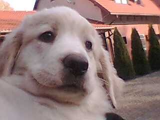 Wpis akkpkipk