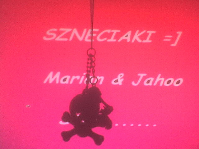 Szneki...