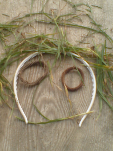 Wpis trelusia