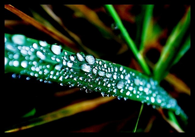Wpis creativephotography
