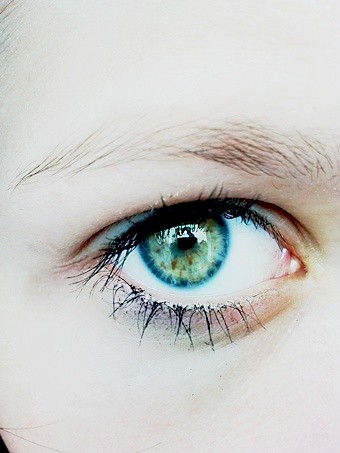 ` oko.xd