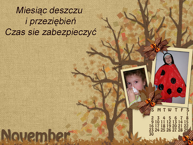 listopad nasta