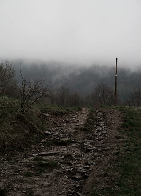 Bieszczady.