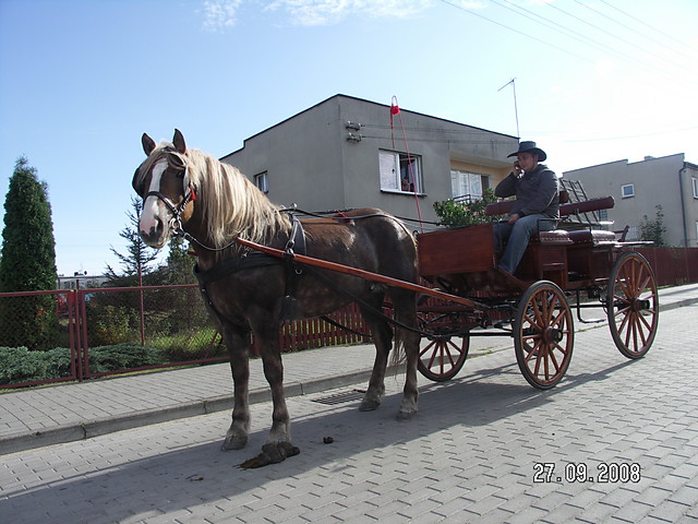 Wpis czpipsp