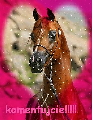 i love horses!!!!!!!!!!!