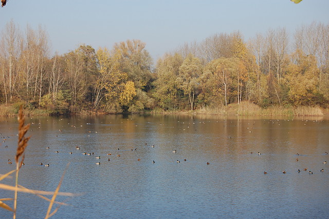 Wpis szeroko