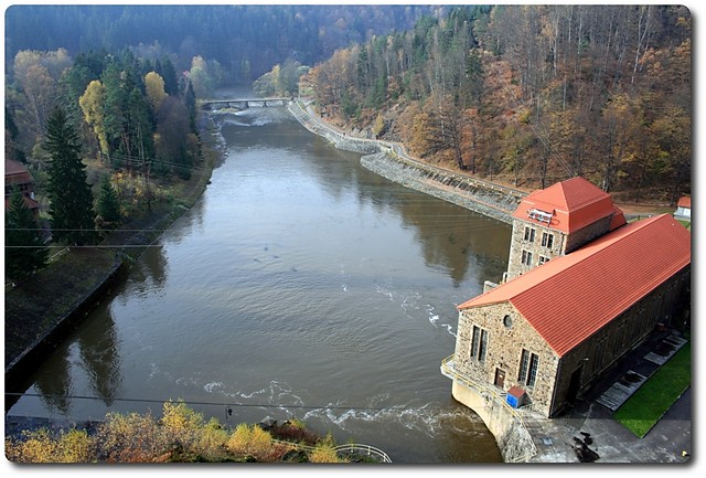 Wpis palko