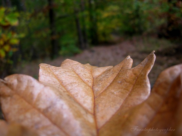 125. © Jesie.