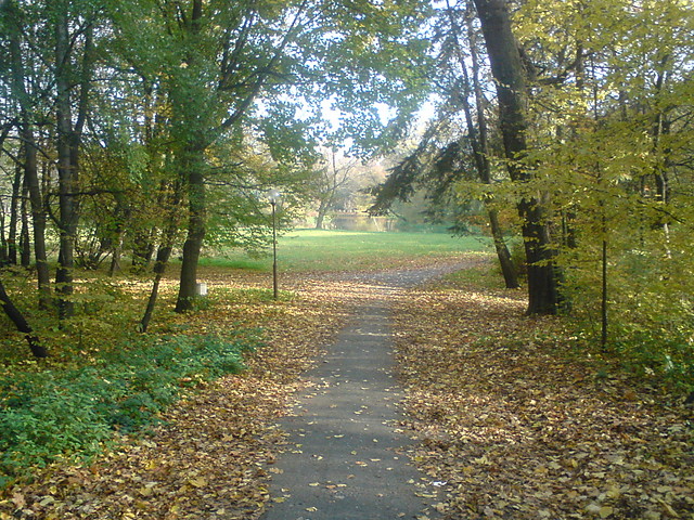 Park :)