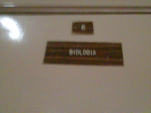 Wpis 1bgoftuchola