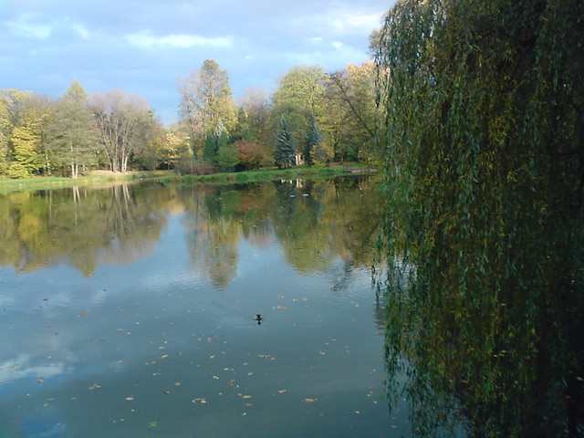 park - Pszczyna...   