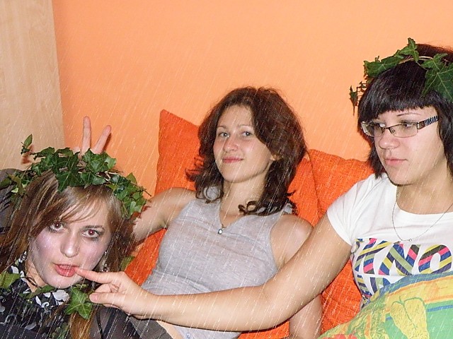 Wpis halbblutprinzessin