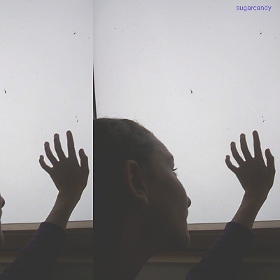 Wpis sugarcandy