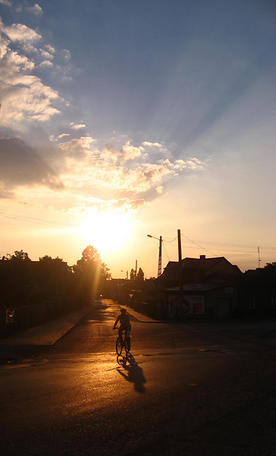 Wpis liryczne