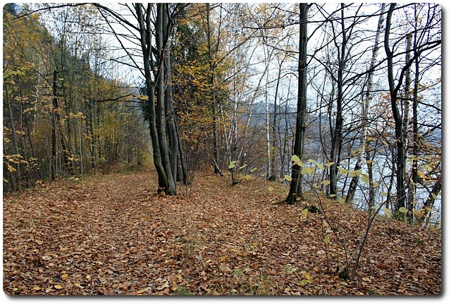 Wpis palko