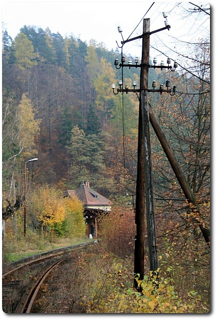 Wpis palko