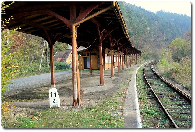 Wpis palko
