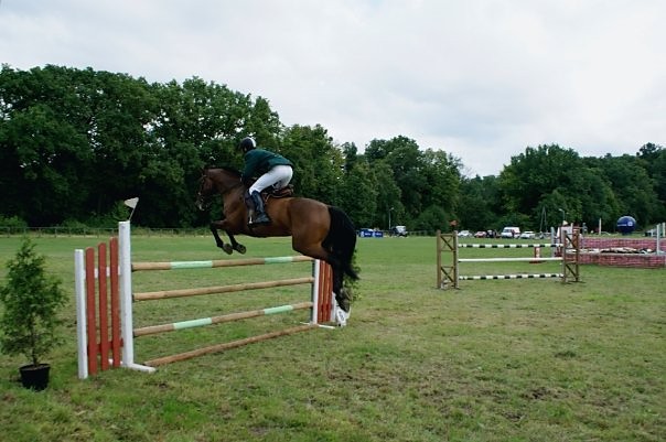 Kadyny 2008