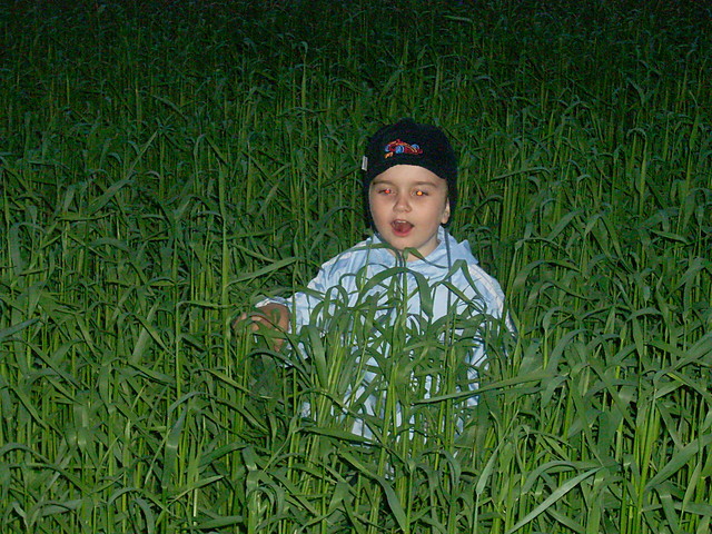 Wpis karolek2003