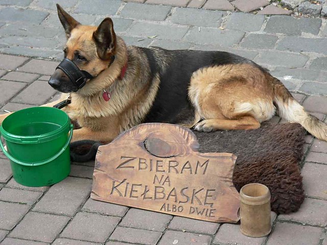 Wpis paweljezierski