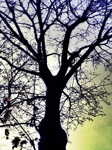 takie tam.