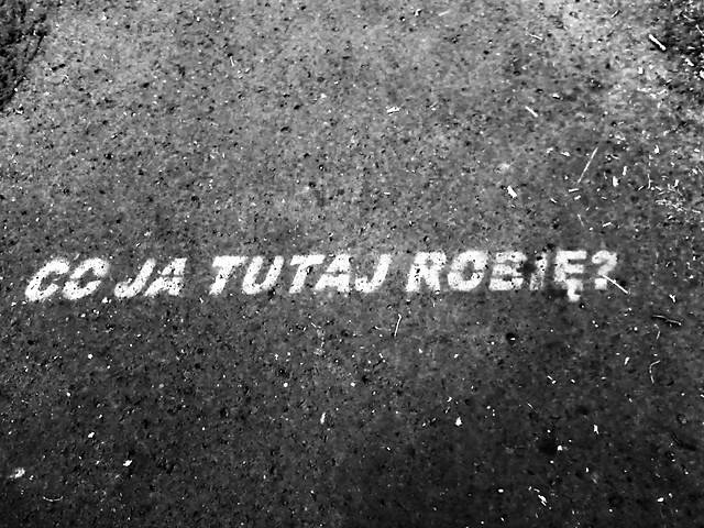 co im do tego.