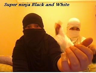 haha super Ninja czarny to ja:)