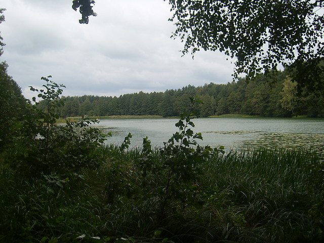 Gorzewo. 