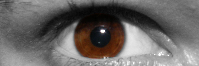 131. eye