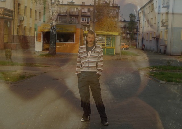 Wpis xmilax
