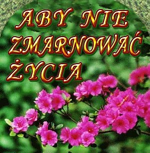Wpis vipnazawszerazem
