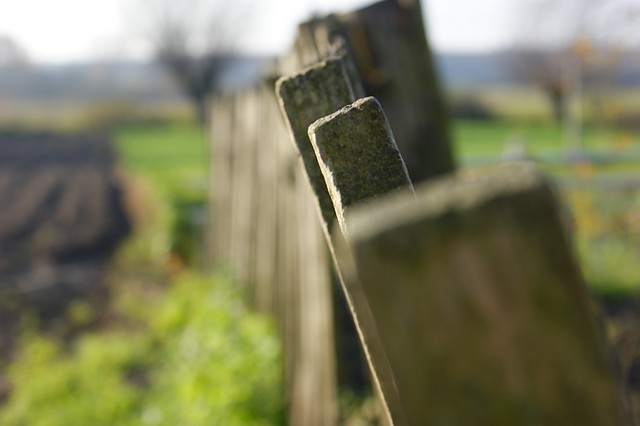 Wpis pruszkowianka