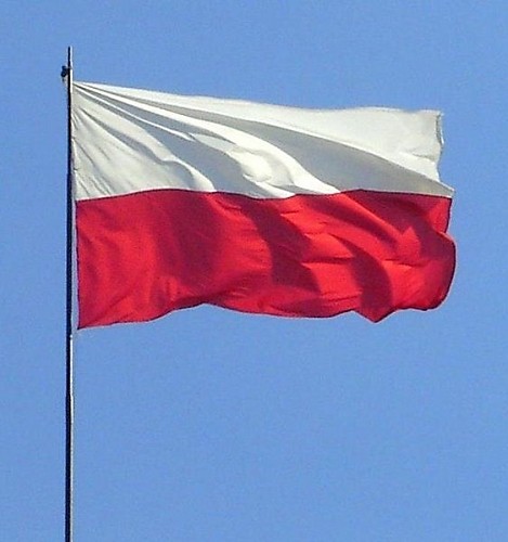 11 listopada