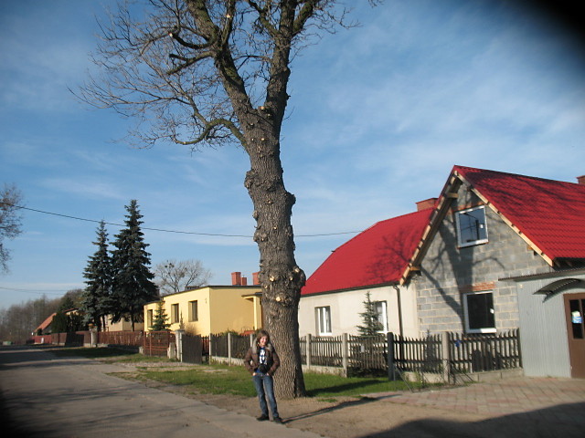 Wpis joolkaa1210