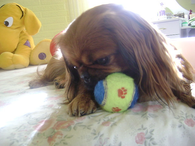 Miga ...;p;p;p  hahahahaha