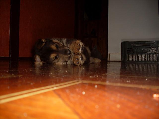 Pikii...