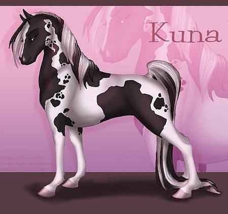 Kuna ^^