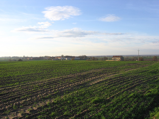 RosochataCity ^^