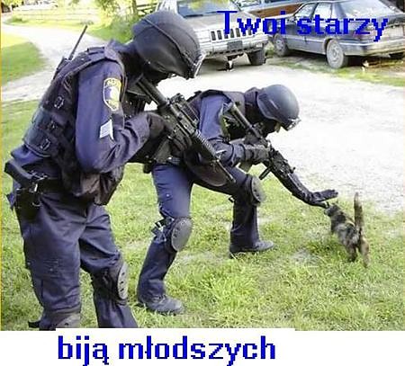 twoja stara