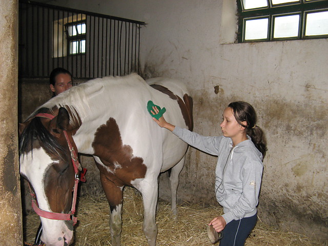 czycimy^^