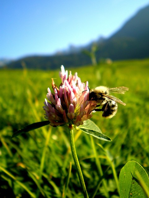 Last sights of summer...