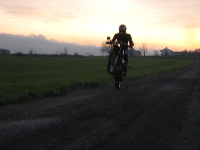 Wpis fifi17