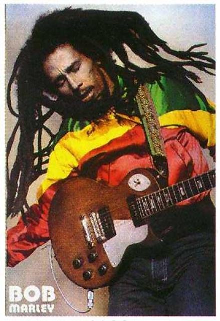 Wpis marleybam