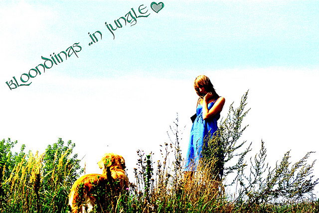 .. in jungle ; >