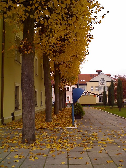jesiennie. 