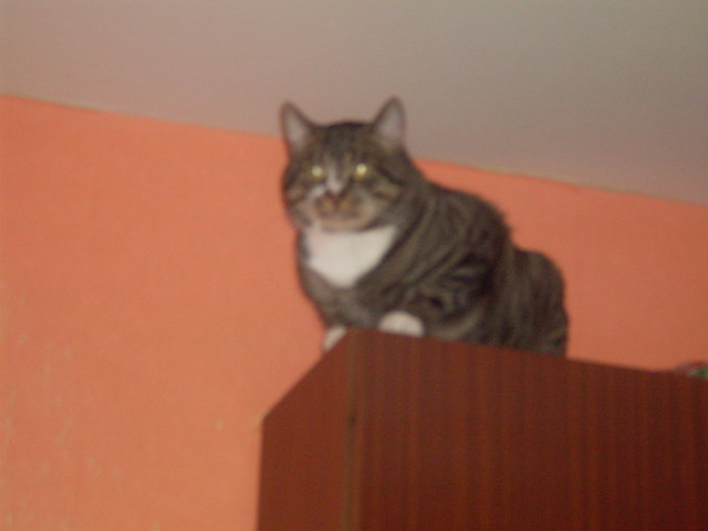 FILEK