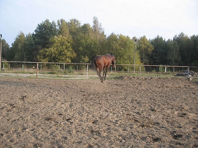 Brykanko